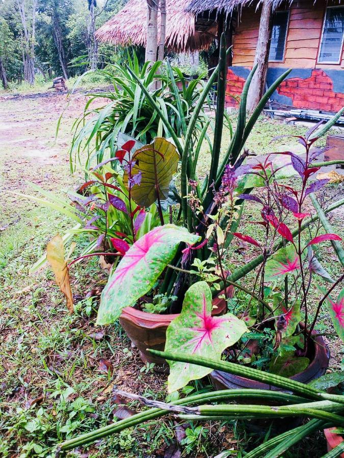 Baan Jing Jai Homestay Resort Lanta Ko Lanta Dış mekan fotoğraf